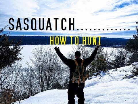 Sasquatch & How to Hunt...Bigfoot Barn
