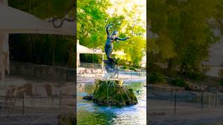 Парк в городке Авиньон, Прованс/Parc à Avignon#shotrs #provence #france #nature #paysagemagnifique