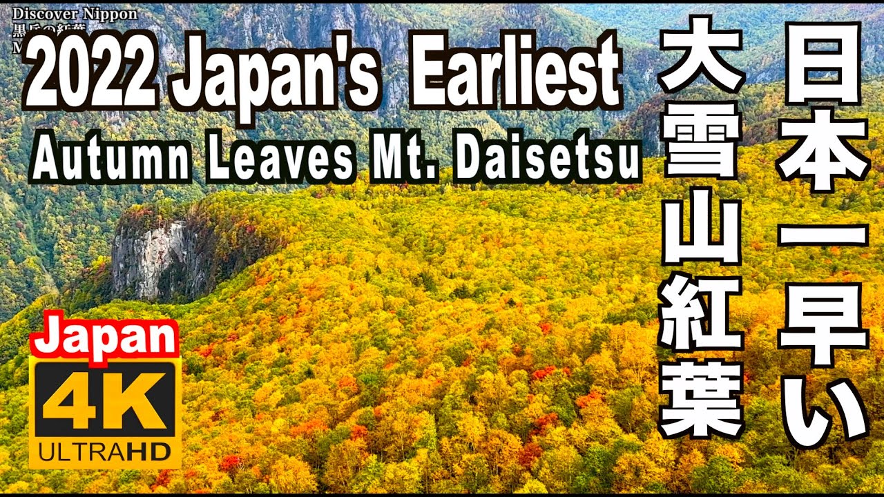 4K 日本一早い大雪山紅葉 Earliest autumn leaves of Japan  北海道 旭岳 黒岳 層雲峡の紅葉谷 紅葉の名所 Hokkaido, Mt. Daisetsu