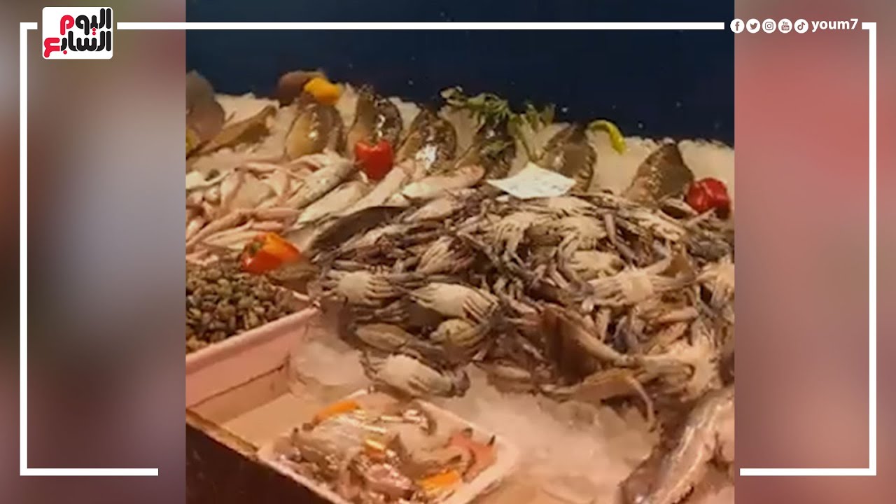 هنوريك أغرب انواع الأسماك اللي ممكن تشوفها في شادر السمك