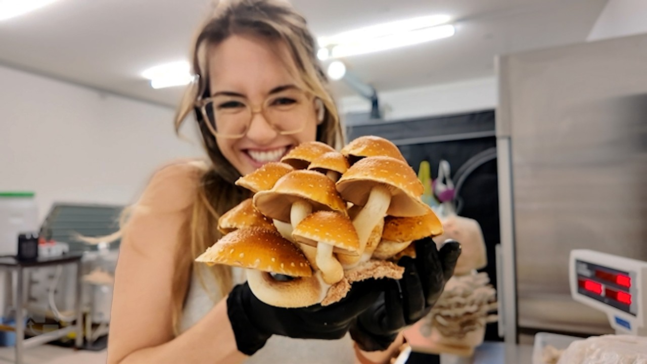 This Week Was Supposed to Be Easy