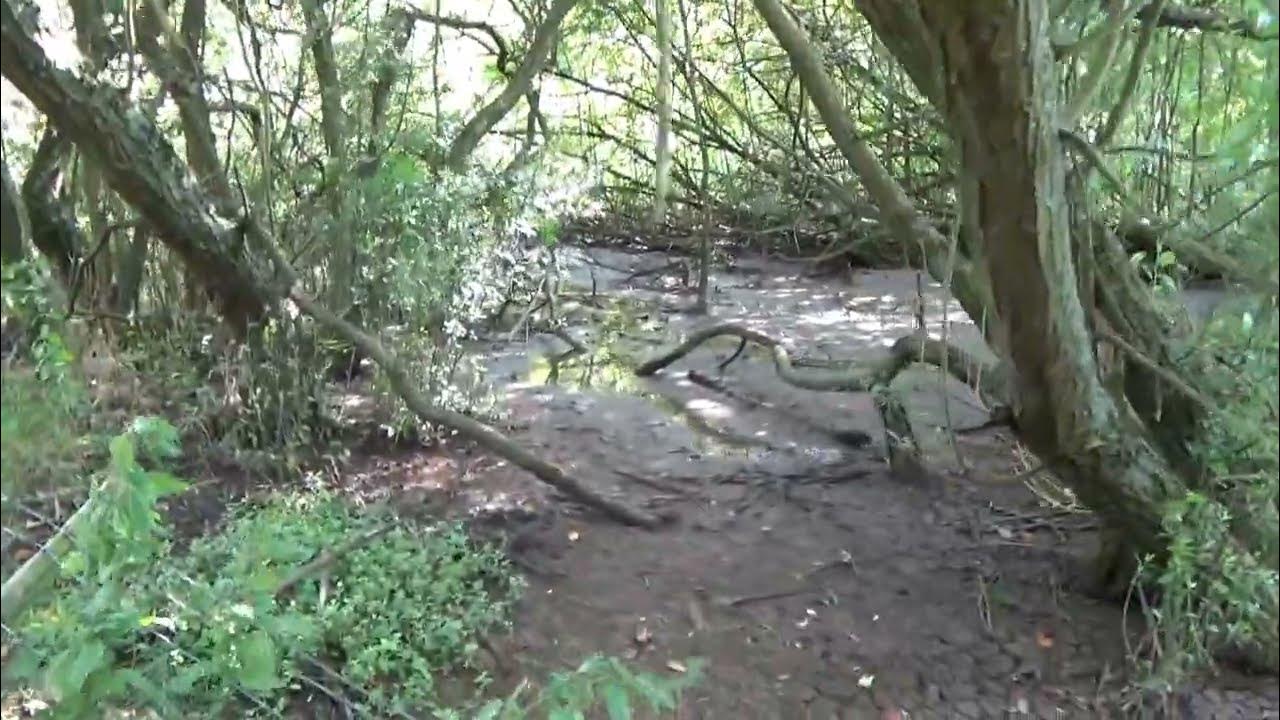 Battlesden, Clipstone Brook, The Great Train Robbery. YouTube