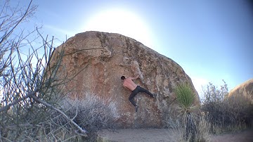 Joshua Tree - Fry Problem