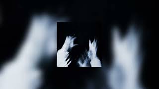 Koci  Parazit prod Inspectah4x