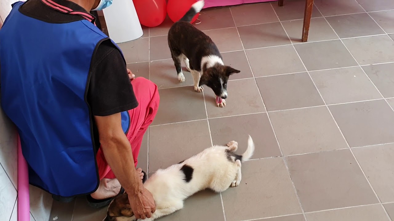 Professional photo shooting? Count me in 😄!