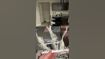 VEX Spin Up Endgame | 80000D