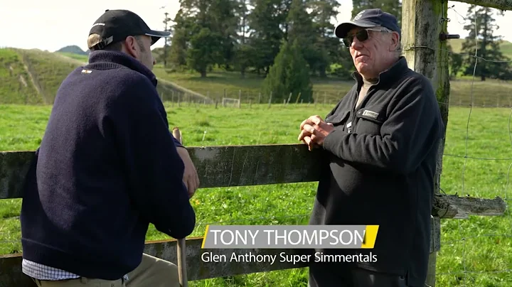 Interview with Tony Thompson from Glen Anthony Sup...