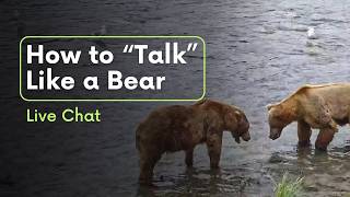 How To "talk" Like A Bear | Brooks Live Chat