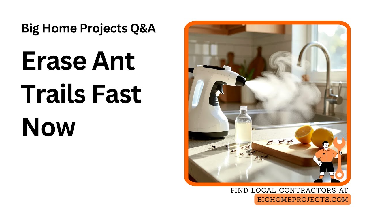 Vinegar Lemon Steam Ant-Trace Eraser Methods