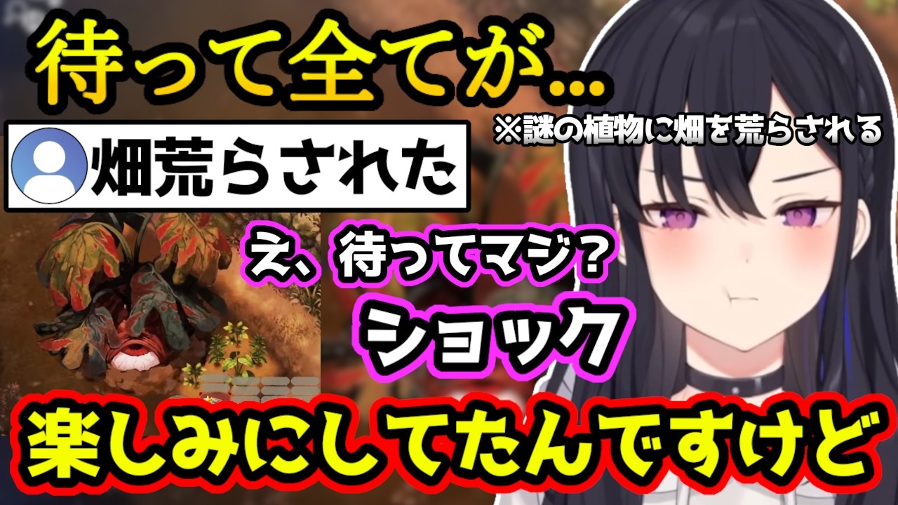 楽しみにしてた作物を謎の植物に潰されてしょぼくれてしまうのせさん、昨日見た修羅場の話をしようとしたのに「どしたん話聞こか」してもらえないのせさん【ほの暮しの庭/一ノ瀬うるは/ぶいすぽ/切り抜き】
