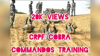 Crpf Cobra Commando Training Videos.