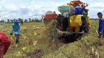 118 .ANH EM HỢP BẮT CHUỘT ĐỒNG THEO MÁY CẮT VÀ CÁI KẾT