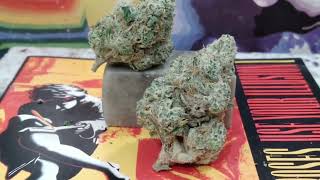 Easy Bake | Indica | Weed Review 
