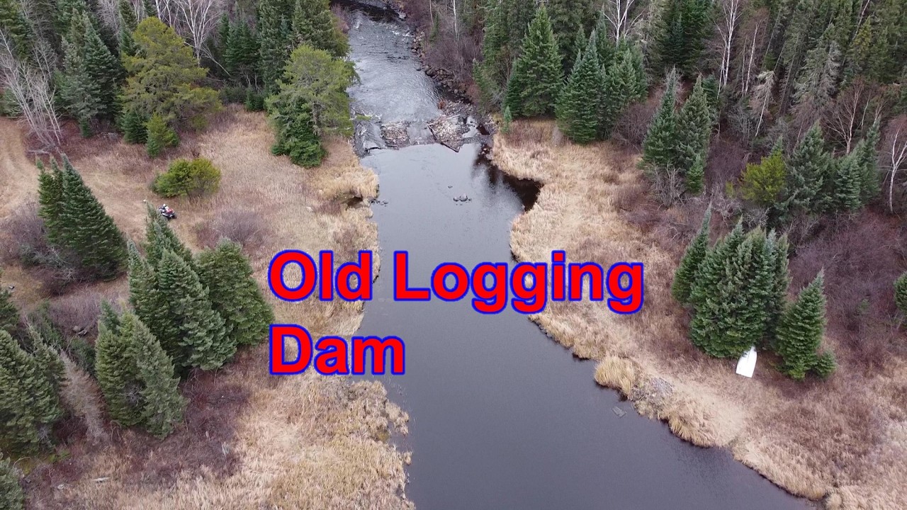 Исследование остатков заброшенной старой лесозаготовочной плотины в районе Дог-Ривер, северо-запа...