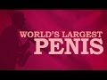 Sex World Records