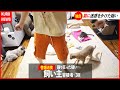猫飼い主。50万のカメラが壊れて踊り狂ってしまう...