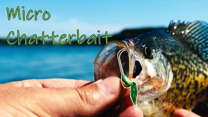 Z-Man ChatterBait Micro Fishing Jig Lure - AbuMaizar Dental Roots Clinic