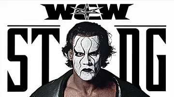WCW - Sting Theme - Seek & Destroy (with Thunder effect)