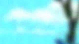 Rare Sonic Pikachu Found