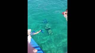 Apnea Cayo Piedra. Yendri en Cuba
