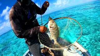 Testing new Akatsuki Softbait - Inshore fishing trip at Grand Sable Mauritius Episode 55