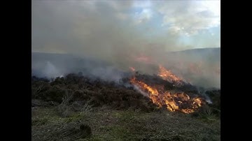 Up in Smoke! How to Measure Wildfire Emissions, with Thomas Smith