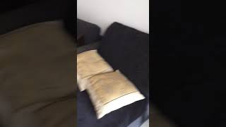 Lake Point Residence, Cyberjaya Cyberjaya Tour | Highrise for rent in SPEEDHOME screenshot 5