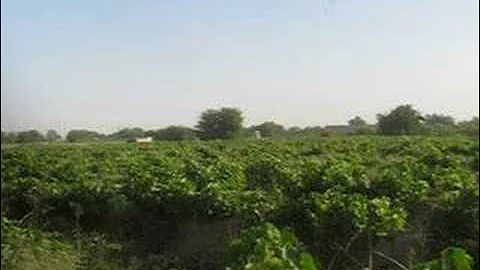 A-10  Warthog Strafing Run on a Taliban Position With Tom Hanks Directing the Assault.