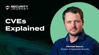 How To Assess the Risk of CVEs