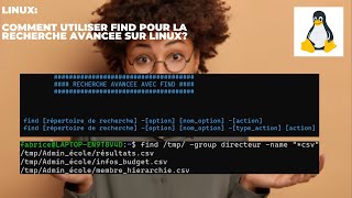 Linux : 🔍 Comment chercher et trouver tous vos fichiers avec find 
