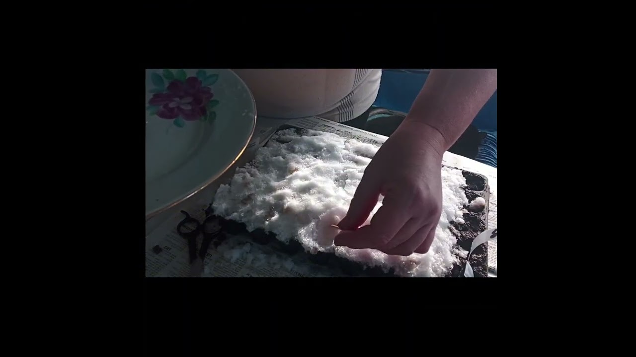 Дачный старт: Простая почва и яркие цветы.