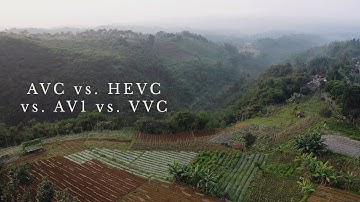 Encoding Comparison | AVC, HEVC, AV1, and VVC | Part 2
