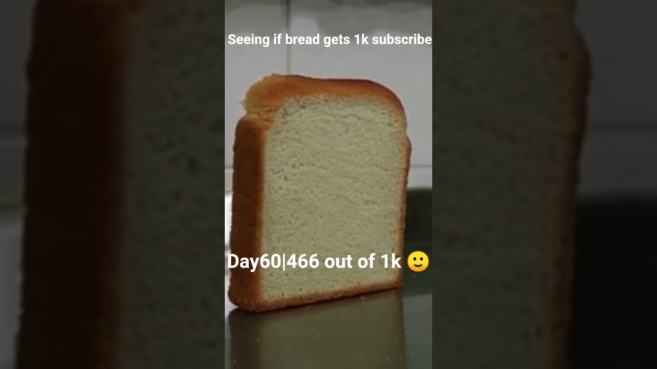 Bread Challenge Will We Reach 1K Subscribers Shorts YouTubeGrowth 1KSubscriber