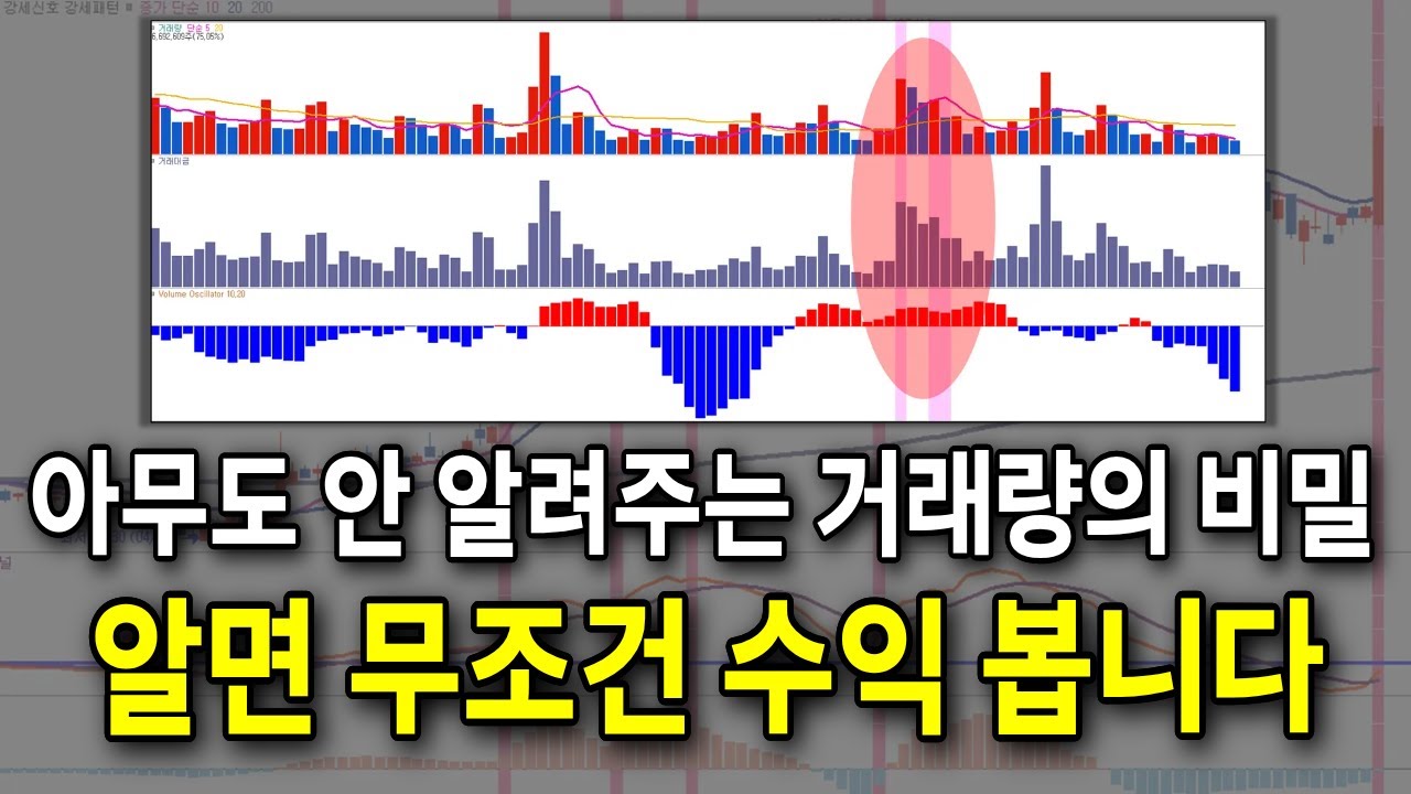 ⁣실전 투자에서 반드시 알아야 할 '거래량 이평선의 비밀' #주식초보 필수영상