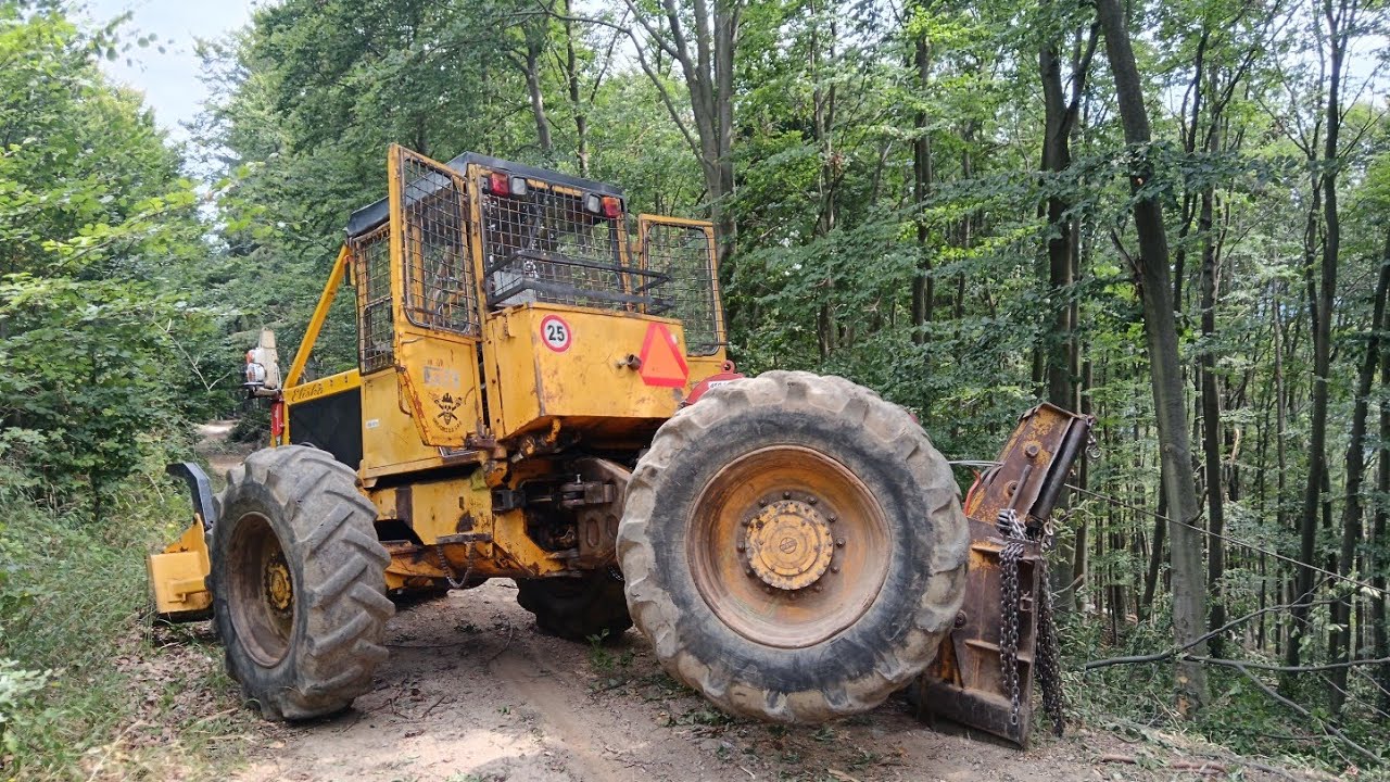 LKT MAN - Prvá ťažba s Eliškou v poraste. Predtým ale ešte menšia údržba a pome na to. Stihl ms462