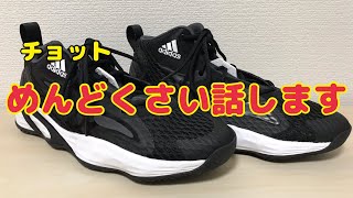 adidas exhibit   アディダス　エグジビット　バッシュ　レビュー