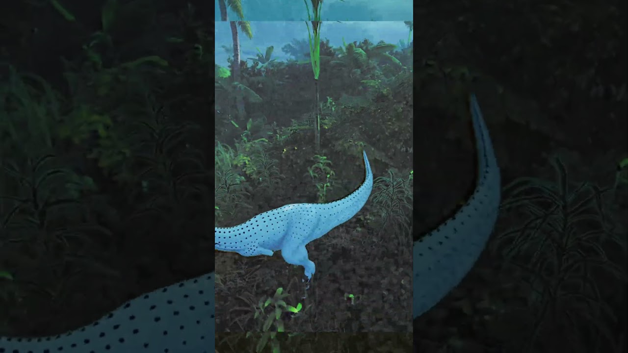 Облик альбиноса выглядит потрясающе | Остров Эврима