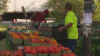 Logan Square Farmer's Market canceled this weekend to due traffic safety concerns