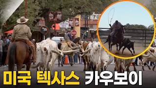 광활한 대지의 카우보이, 미국 텍사스 여행  [걸어서세계속으로] KBS 240921 방송 screenshot 1