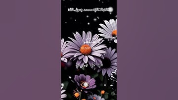 أكتب شيء تؤجر عليه#قرآن #تلاوة_خاشعة #اكسبلور #explore #foryou #islam #islamicvideos #كنوزإسلامية