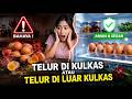 Telur di Kulkas vs Suhu Ruang, Mana Lebih Aman? Ini Jawaban Ilmiahnya