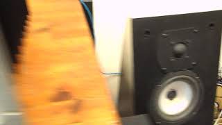 Threshold S300