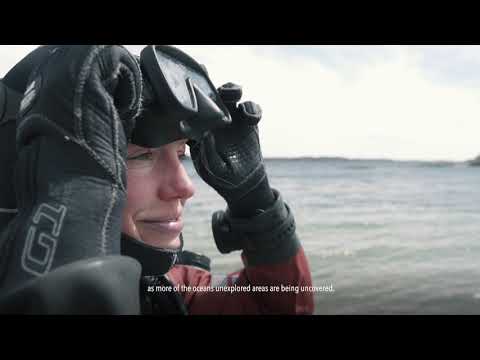 Video: Hästsko I Havet
