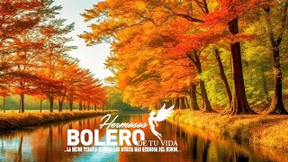 4 HORAS MEJORES BOLEROS DEL PLANETA-LA MEJOR TERAPIA MUSICAL-LAS MÚSICA MÁS HERMOSA DEL MUNDO