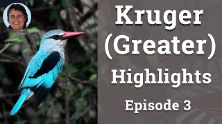 Greater Kruger Episode 3
