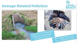Love My Beach Coastal Pollution Presentation