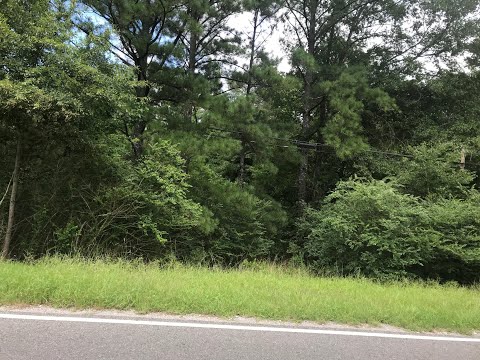 8101 BANKHEAD HWY, Dora, AL home video tour