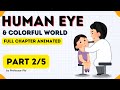 Eye Defects: Myopia vs Hypermetropia vs Presbyopia Explained