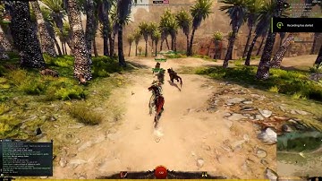 Guild Wars 2 cheaters!!!!