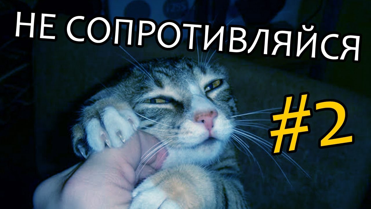 приложение текст не сопротивляйся картинка ангиома